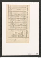 Diatomeae indet. Zeichnungen Sammlung Grunow (NHMW-BOT-W0370152)